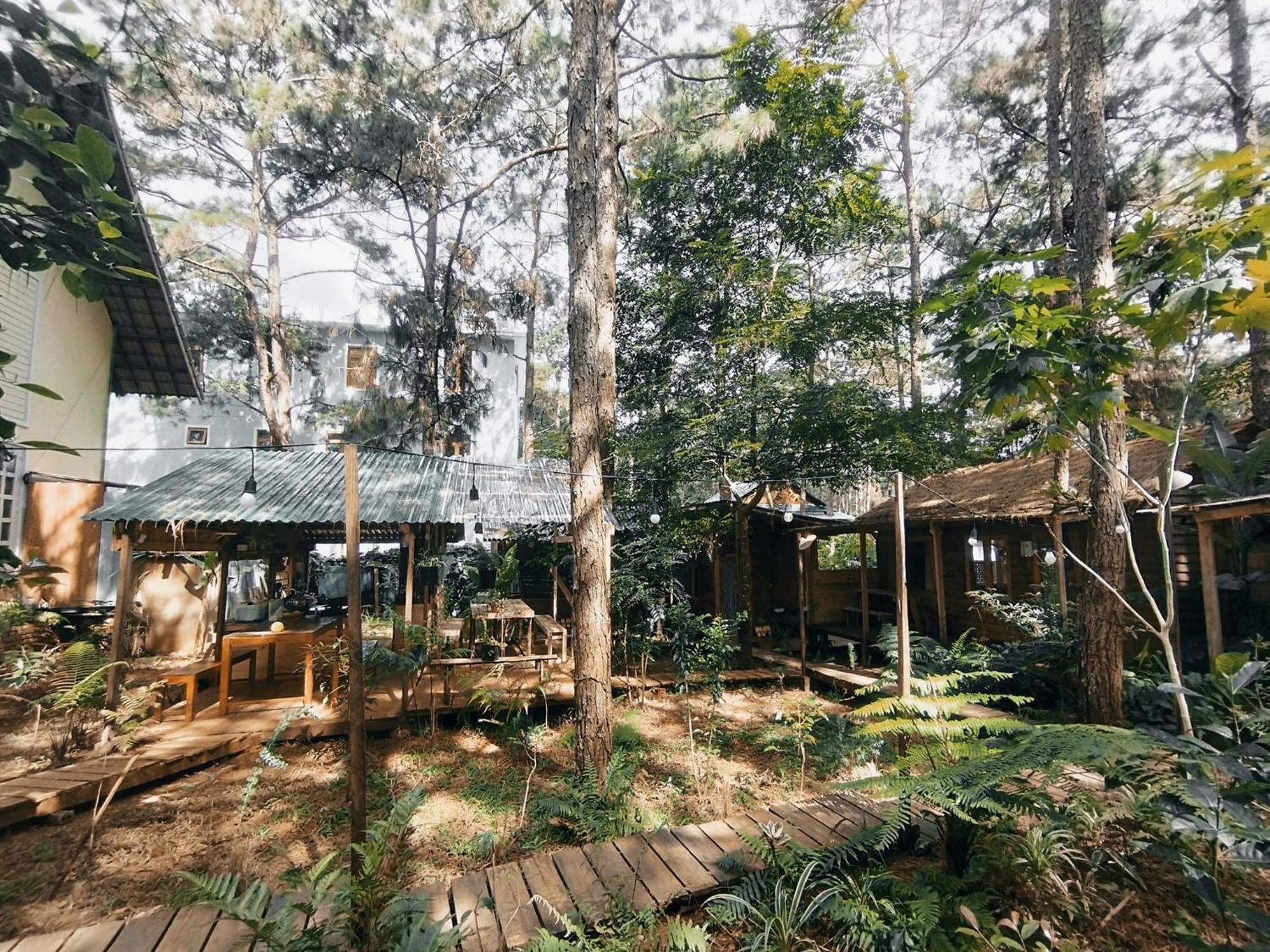 La Maison Homestay Mang Den Kon Tum Exterior foto